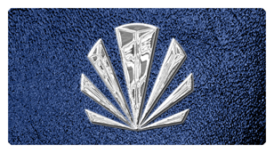 DSC700 602 SL SH BL Silver Sunburst Shimmer Blue Background